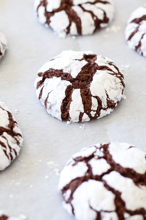 top cookie swap recipes the modern day girlfriend 