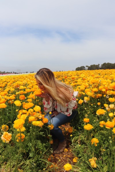 the flower fields