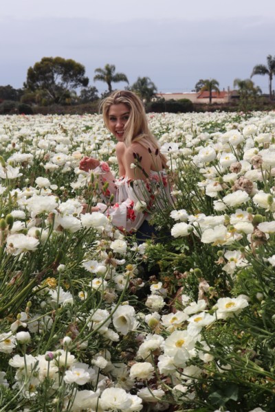 the flower fields