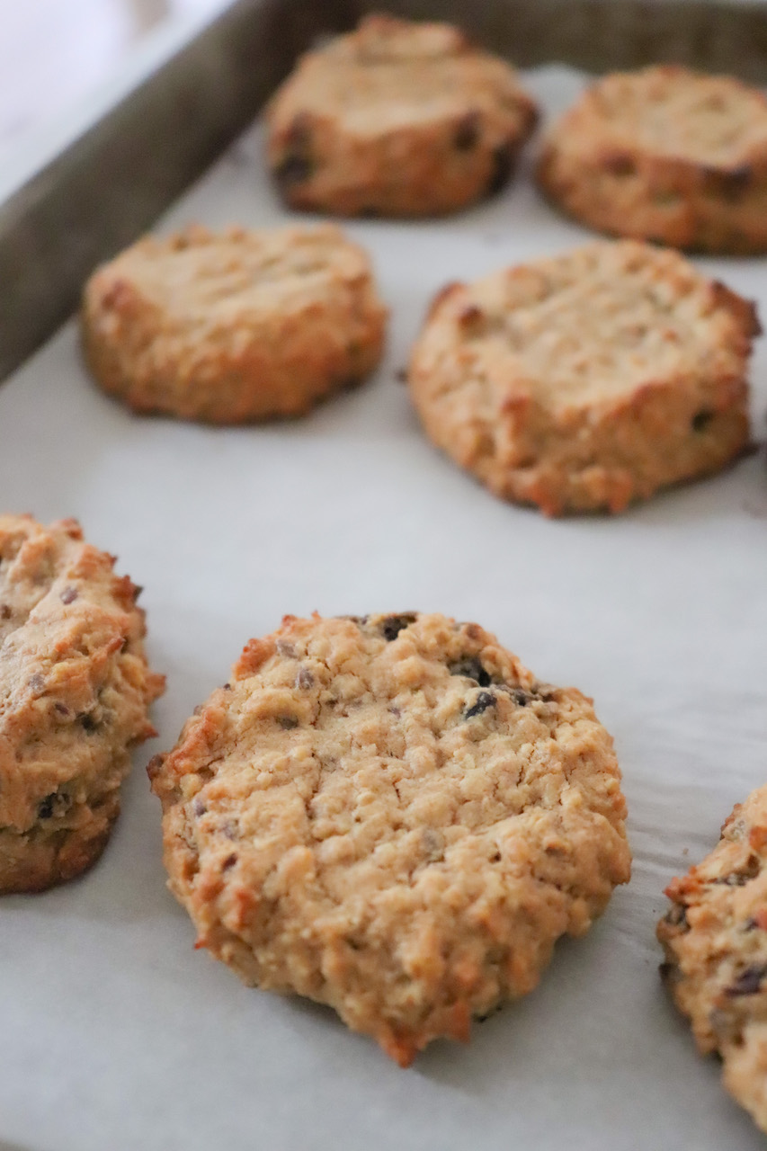 Flourless Cookies the modern day girlfriend 