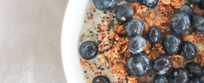 Quinoa Granola Breakfast Bowl the modern day girlfriend