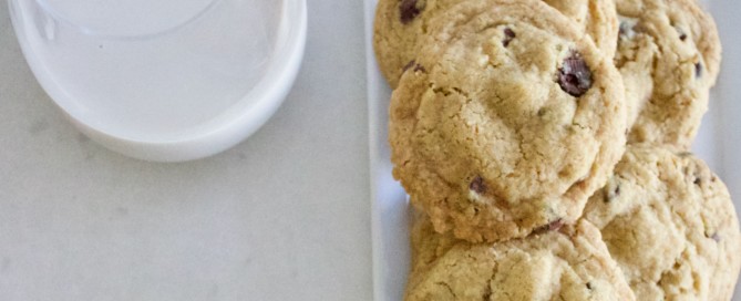 Vegan Chocolate chip cookie the modern day girlfriend