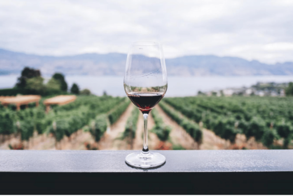 wine tasting travel 