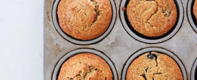 flourless muffins the modern day girlfriend