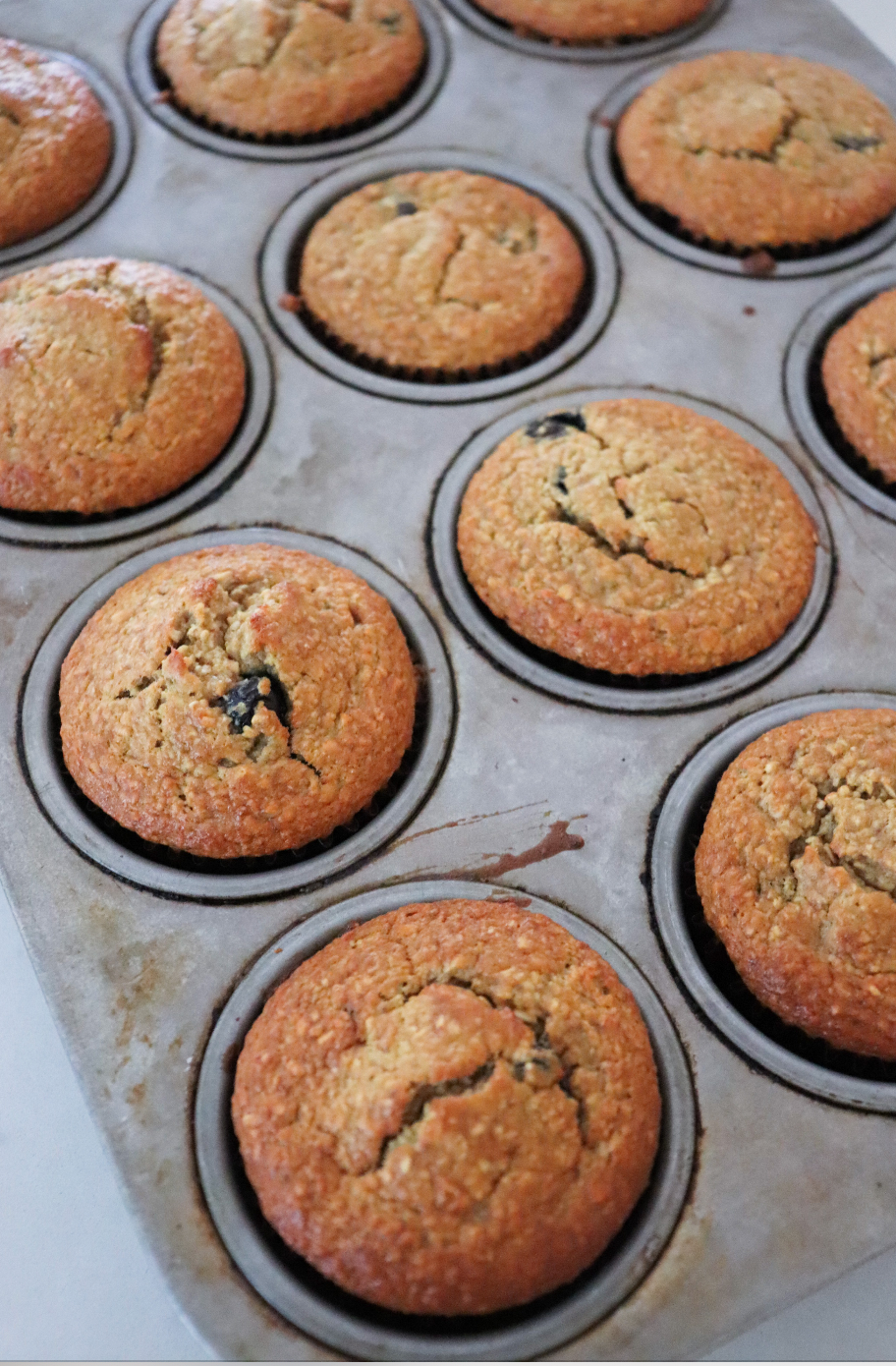 flourless muffins the modern day girlfriend