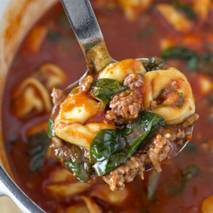 fall recipes tomato-basil-tortellini-soup