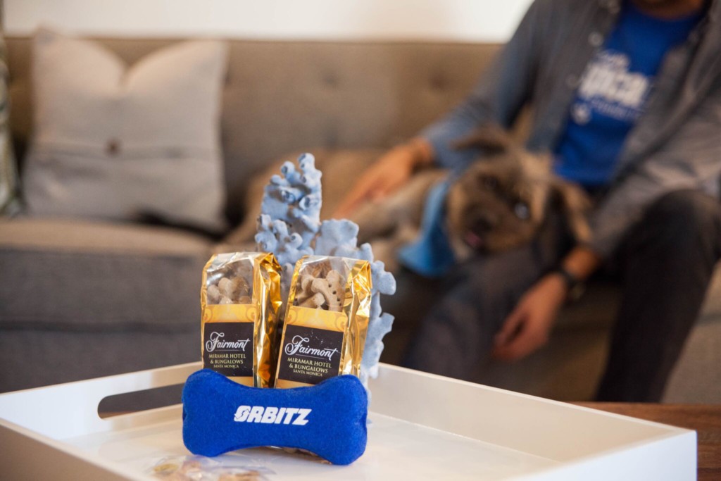 pet friendly travel with orbitz the modern day girlfriend 