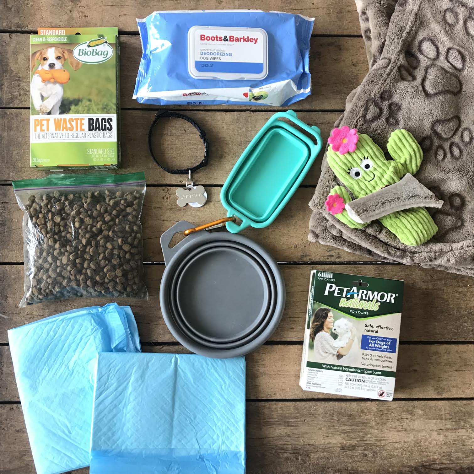 pet travel essentials 